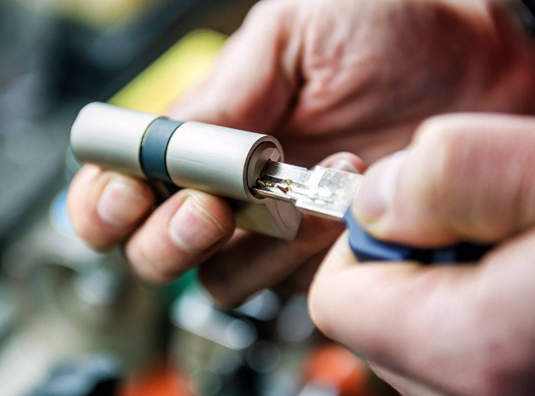 imagen-bombines imagen bombines